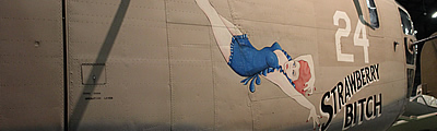 Consolidated B-24D Liberator "Strawberry Bitch"