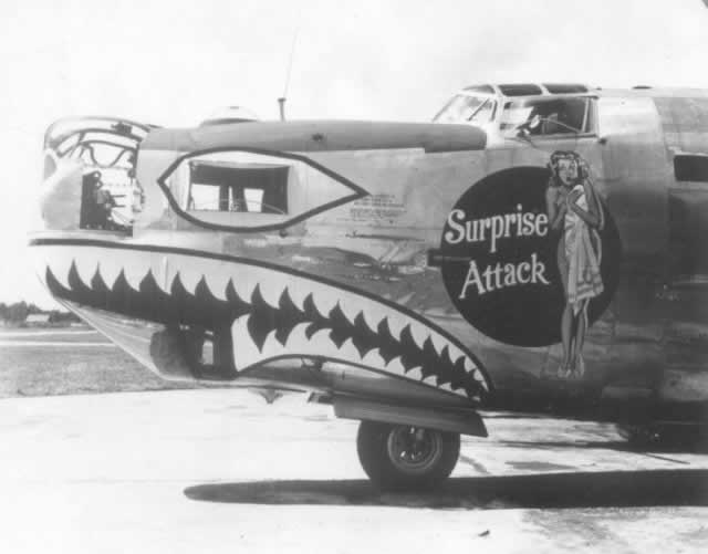 B-24 Liberator "Surprise Attack" nose art B-24 Liberator "Surprise Attack" nose art