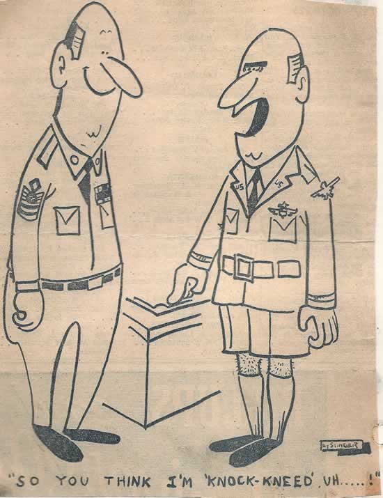 Stinger's Stunner ... England Air Force Base cartoon Stinger's Stunner ... England Air Force Base cartoon